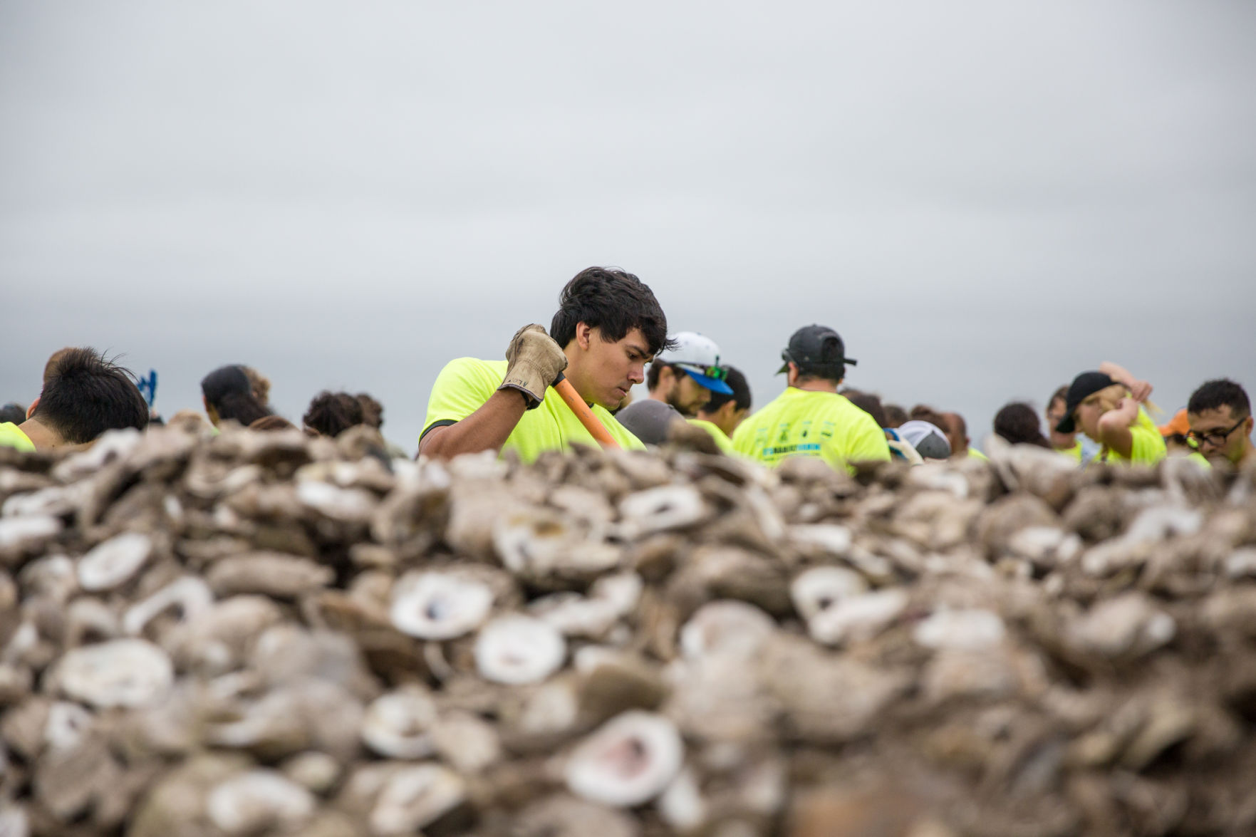 Oyster Recycling at Goose Island State Park